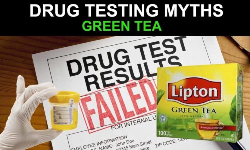 Synthetic Urine Cleaner 
      Kit Courts at Stafford Stafford VA